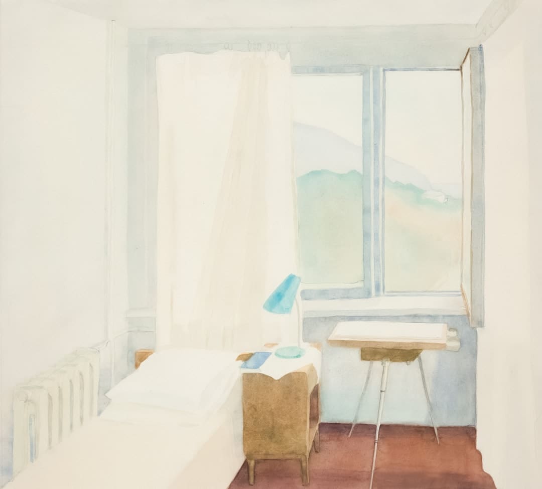 陕西西乡县堰口镇湾对坡村:红叶红柿美如画